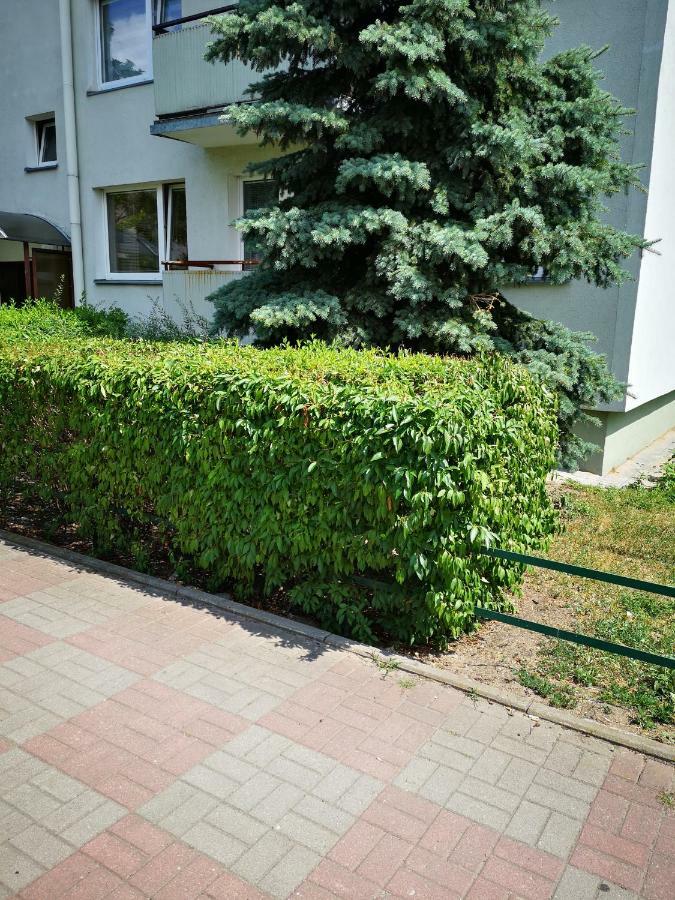 Stary ToruńApartament Pod Swierkiem公寓 外观 照片